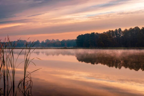 Korai Ködös Őszi Reggel Tónál Napkelte Gyönyörű Színes Tükröződik Tóban — Stock Fotó