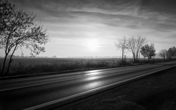 Black and white picture of beautiful morning in the countryside. Empty asphalt road with trees growing alongside, autumn meadow in the background. Fog on the horizon.