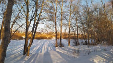 Irtysh Nehri 'nin setinde kış manzarası