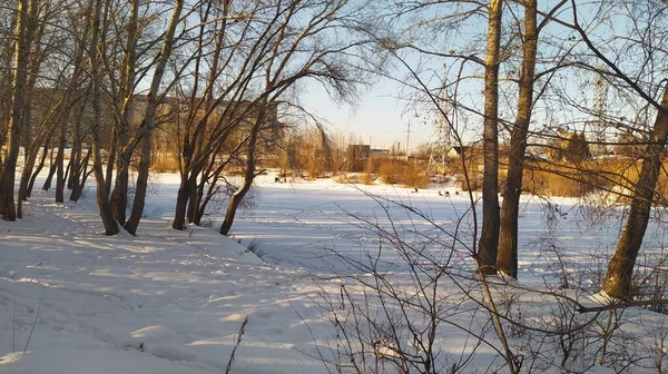 Zimowy Krajobraz Nabrzeżu Rzeki Irtysz — Zdjęcie stockowe