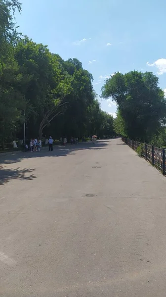 Camino Parque — Foto de Stock