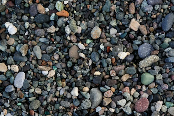 Abstract Pebble Georgian Beach Black Sea — Stock Photo, Image