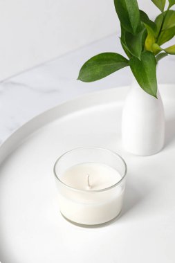 Hindistan cevizli kavanoz mumu ya da vazo dolusu yeşil yapraklı soya cilası. Beyaz iç potografi
