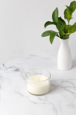 Hindistan cevizli kavanoz mumu ya da vazo dolusu yeşil yapraklı soya cilası. Beyaz iç potografi