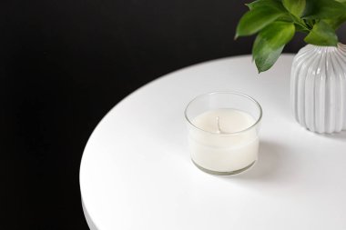 Hindistan cevizli kavanoz mumu ya da vazo dolusu yeşil yapraklı soya cilası. Beyaz iç potografi