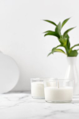 Hindistan cevizli iki kavanoz mum ya da vazo dolusu yeşil yapraklı soya cilası. Beyaz iç potografi