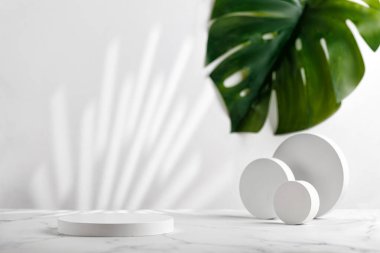 Beyaz arka planda beyaz podyumlar, gölgeler ve tropik canavar yaprağı olan boş bir sahne. Kozmetik ürünler ve modeller için kaldırım taşı.