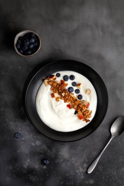 Granola ve hindistan cevizli Yunan yoğurdu, elma parçaları kasede. Müsli, yoğurt ve yabanmersinli kahvaltı, koyu arka plan.