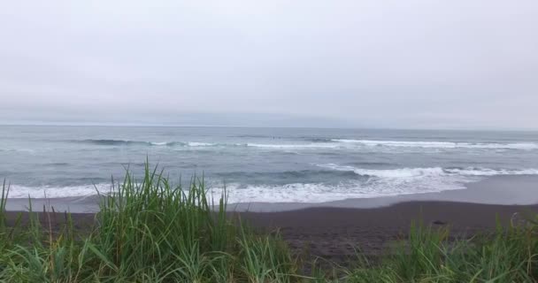 太平洋だ カムチャツカ海岸 黒い火山砂 サーフィン — ストック動画