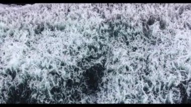 El salla. Pasifik Okyanusu. Kamçatka sahili. Siyah volkanik kum