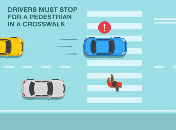 Règles Sécurité Volant Régulation Trafic Tous Les Conducteurs Doivent Arrêter — Image vectorielle