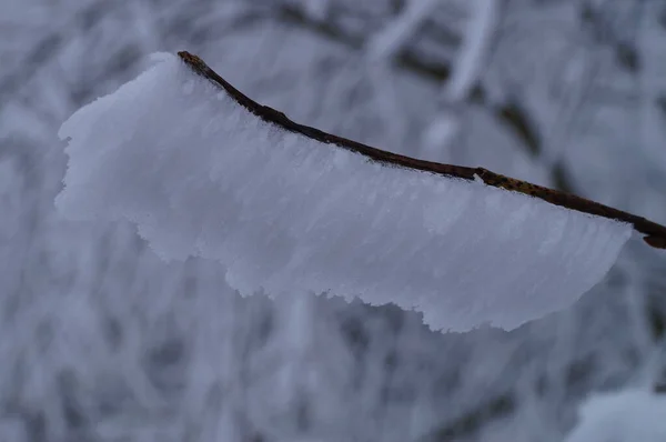 Νιφάδα Χιονιού Μακροσκοπική Όραση — Φωτογραφία Αρχείου