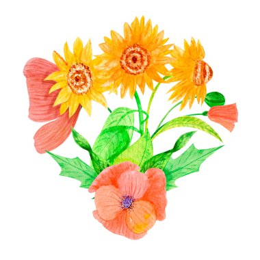 Yaz suluboya ayçiçeği seti ve gelincikler çiçek düzenlemesi