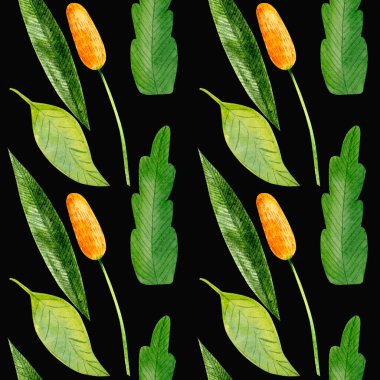 Yaz suluboya seti, el yapımı parlak kır çiçekleri.