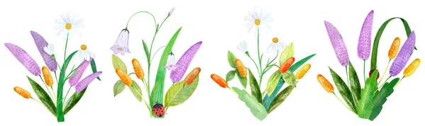 Akvarell uppsättning ljusa vilda blommor, löv arrangemang — Stockfoto