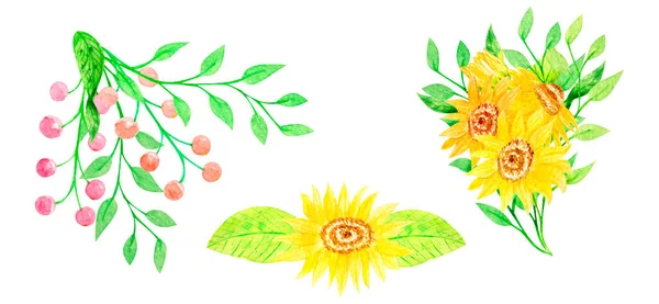 Acuarela Verano Set Clipart Ilustración Girasoles Dibujado Mano —  Fotos de Stock