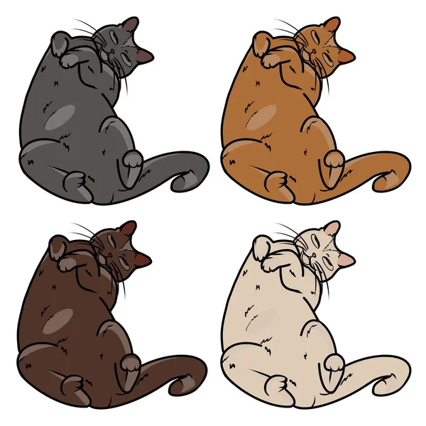 Vier Katzen Unterschiedlicher Farbe Liegen Auf Dem Rücken — Stockfoto