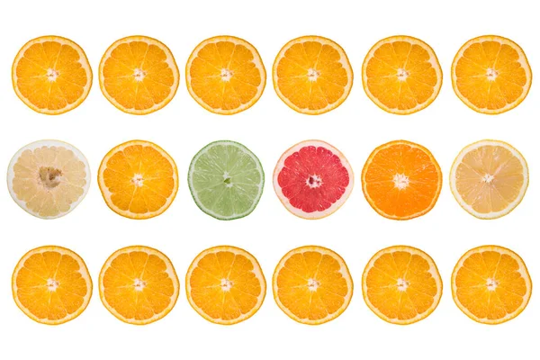 Fresh Slices Citrus Fruits Isolated White Background — Foto Stock