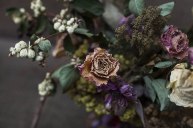 Kurutulmuş gül karanlık bir arka plan üzerinde