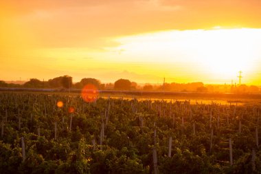 Tarlanın üzerinde güzel bir gün batımı