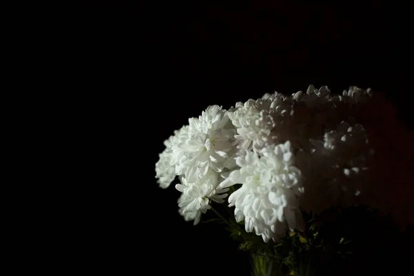 Kytice Bílých Chryzantémy Květiny Izolované Černém Pozadí — Stock fotografie