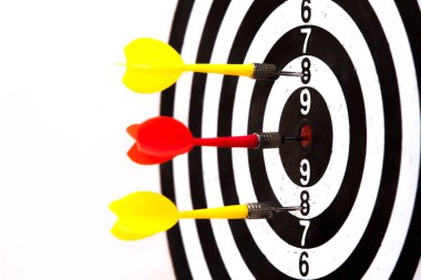 target with darts isolated on white background