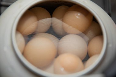 Lezzetli Asya yemeklerinin yakın görüntüsü