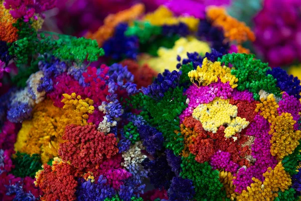 Bahçedeki güzel renkli çiçekler.