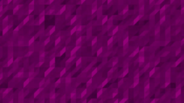 Bright Animation Purple Parallelogram Shapes Changing Shades — ストック動画