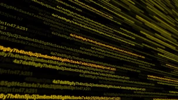 Digital Code Background Matrix Style Program — Stock Video