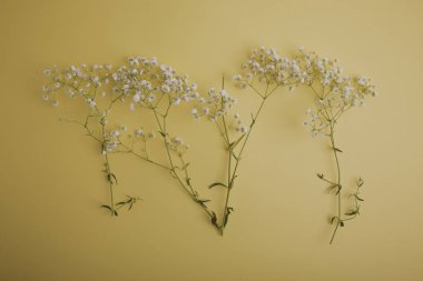 small dot flowers. white summer flower on yellow background with space for text.