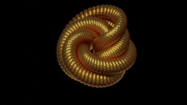 Yılan pulu. Soyut spiral arka plan. Parlak altın yılan hareketli. Parlak deri pulları. 3B görüntüleme