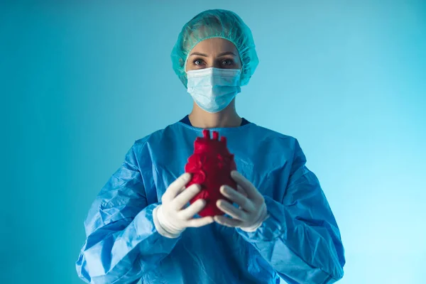 Kaukasische Ärztin für Kardiologie zeigt rotes Kunstherz, mittleres Studio mit blauem Hintergrund. Gesundheitskonzept. — Stockfoto