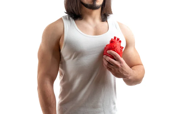 Маскулінний бородатий чоловік тримає штучне серце. Студійний знімок на білому тлі . — стокове фото