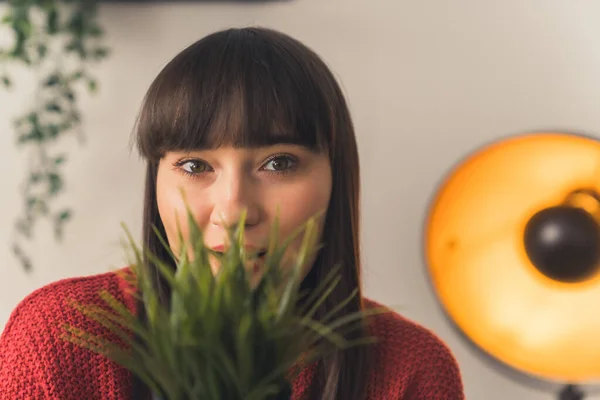 Indoor portrait caucasian brunette hiding face behind green plant in a pot and smiling. — Stock Photo, Image