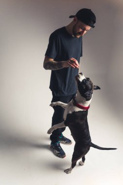 Köpek eğitimi konsepti. Orta yaşlı beyaz bir adamın büyük siyah beyaz köpeğiyle antrenman yaparken çekilmiş dikey bir fotoğrafı..