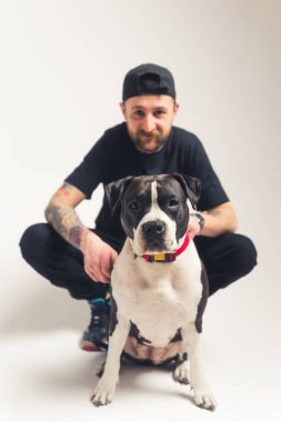 Dikey stüdyo, arka planda oturan ve kameraya bakan, beyaz dövmeli, sakallı, büyük bir köpeğin gri arka planı üzerinde çekim yapıyor..