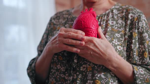 Older person holding artificial heart reminding about health problems, illness, and cardiovascular diseases — Stock Video