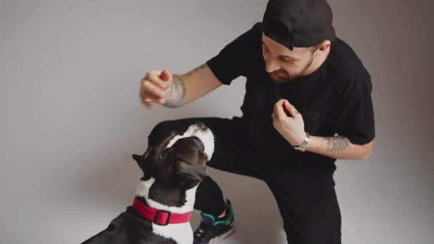 Nuori hyvännäköinen parrakas ja tatuoitu mies korkki halaus hänen söpö koira medium shot kaltevuus tausta koira konsepti studio shot — kuvapankkivideo