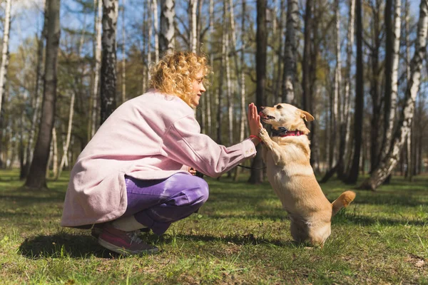 Attractive pretty caucasian woman wearing a pink coat crouching on the ground and training her small golden dog in a park. — Fotografia de Stock
