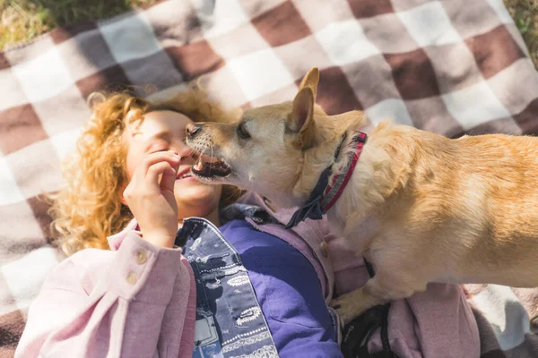 Pretty blonde girl playing with her dog on the cover in the park medium closeup outdoors pet concept — Zdjęcie stockowe