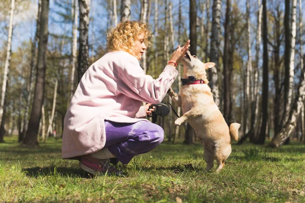 Lockigt hår kaukasiska flicka leker med sin hund i parken full skott utomhus husdjur koncept — Stockfoto