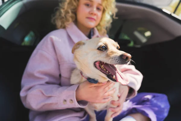 Caucasian blonde young pretty woman sitting in the trunk holding a cute adorable dog. Dog sticking his tongue out, blurred background. — Zdjęcie stockowe