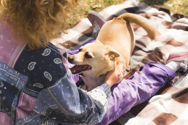 Foto trasera de una mujer de pelo rizado con una chaqueta azul y púrpura sentada sobre una manta en la hierba acariciando a su perro. Perro divertirse, agitando su cola. — Foto de Stock