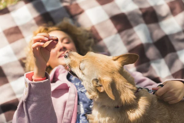 Teen girl on picnic feeding her dog from the hand, on the background of the blancket — Stockfoto