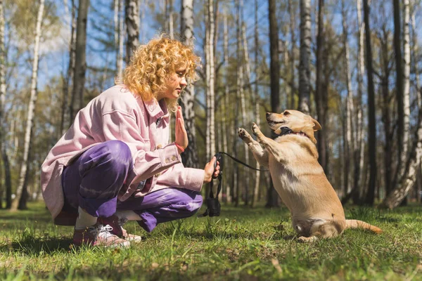 Blondynka atrakcyjne dziewczyna szkolenia jej pies w parku, poziome, słodkie piękne zdjęcie — Zdjęcie stockowe