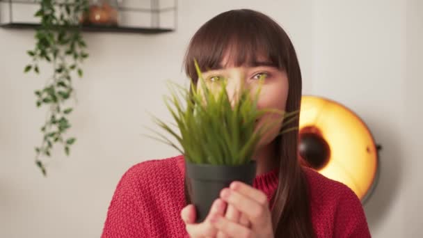 Nette lustige kaukasische Frau mit langen dunkelbraunen Haaren, die ihr Gesicht hinter einer Pflanze versteckt und mit der Kamera Guck-ein-Buh spielt. — Stockvideo