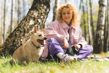 Tatlı uyarı konsantre melez köpek dili bir ağacın yanında çimlerin üzerinde otururken. Arka planda pembe ceketli güzel kız. Ön plana odaklan..