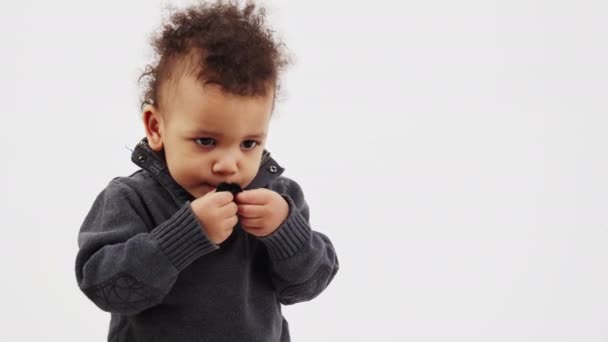 Afro American toddler playing with fake moustache, sticking it to his face medium closeup copy space movember grey background studio shot — Stock Video