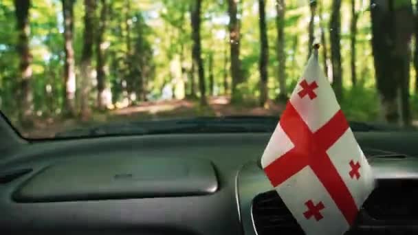 Poruszający się samochód z gruzińską flagą w środku lasu, Gruzja, Kaukaz — Wideo stockowe